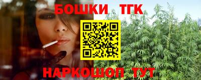 твердый Новодвинск