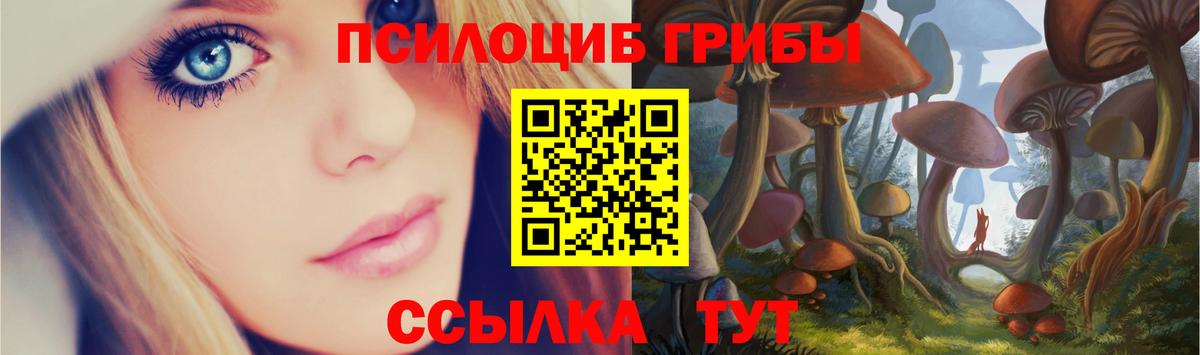 Галлюциногенные грибы MAGIC MUSHROOMS  Вход с VPN  Псилоцибиновые грибы GOLDEN TEACHER  Брянск 
